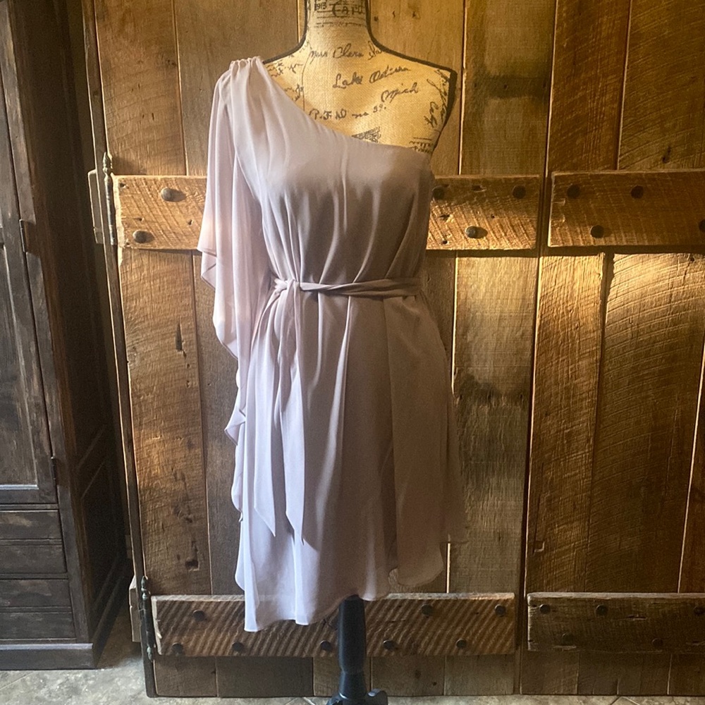 Stunning one shoulder dress. NWOT
